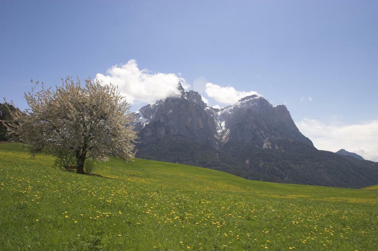 Tomasoethof Villa Castelrotto Exterior photo